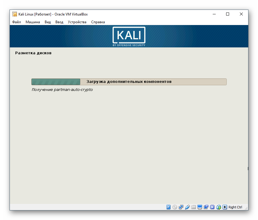 Второй этап автоматической настройки параметров для Kali Linux в VirtualBox
